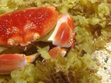 Pousada em Fernando de Noronha